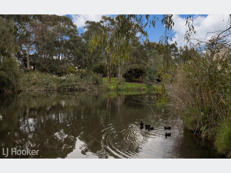 1/6 Castlebar Road, Lockleys SA 5032