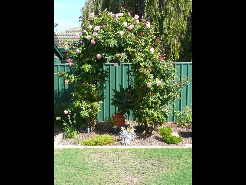 58 Browning Avenue, Fulham Gardens SA 5024