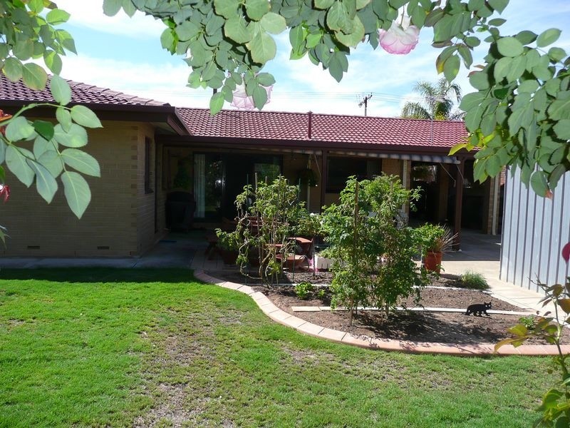 58 Browning Avenue, Fulham Gardens SA 5024