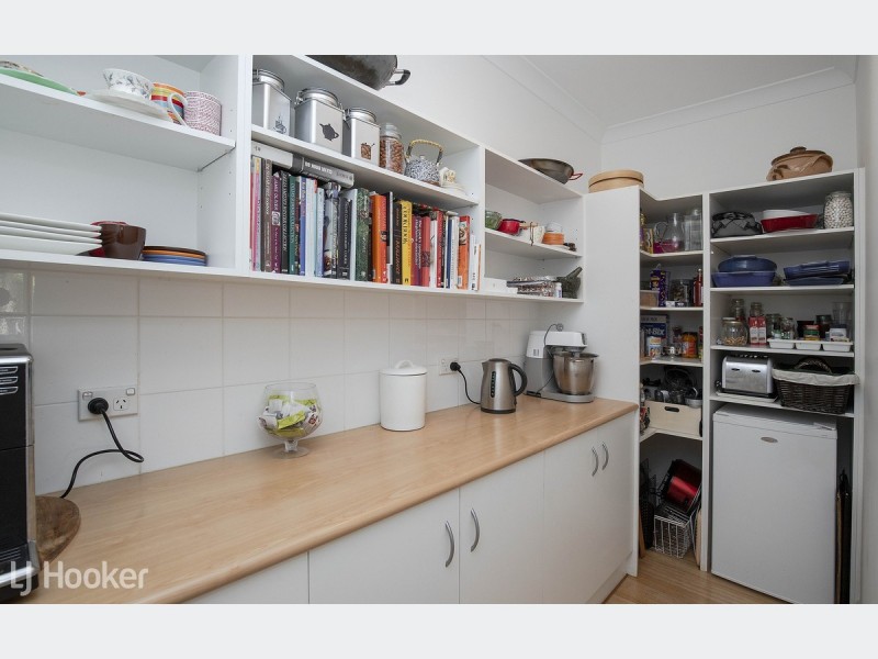 6 Ron Wait Court, Lockleys SA 5032