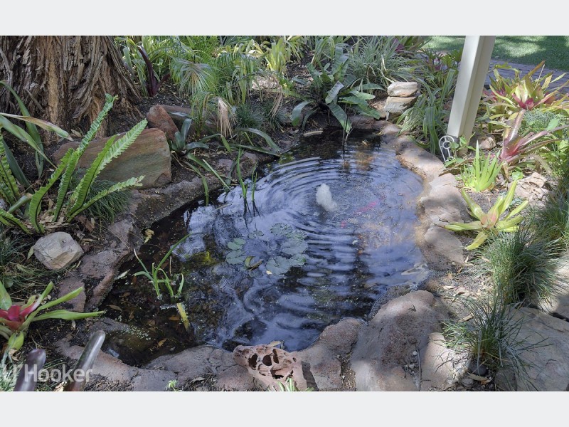 29 Lorraine Avenue, Lockleys SA 5032