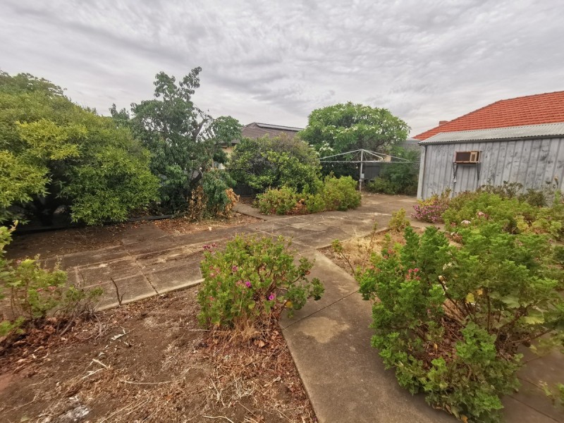 14 Collingwood Avenue, Flinders Park SA 5025