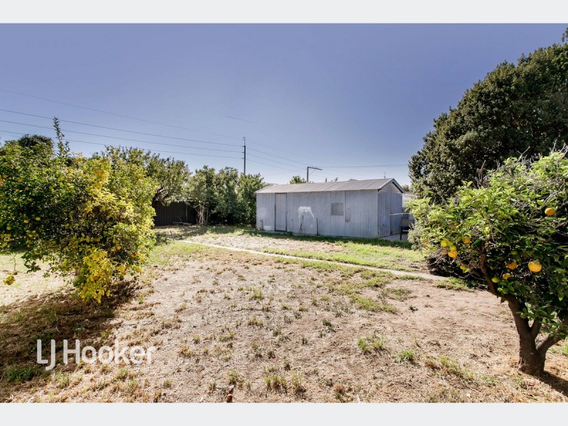 51 Whimpress Avenue, Findon SA 5023