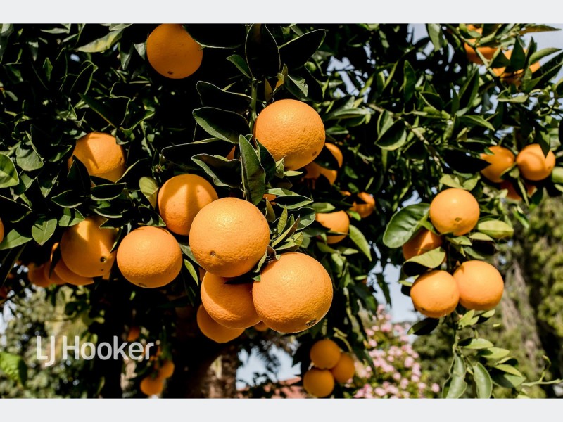 329 Bridge Road, Para Hills SA 5096