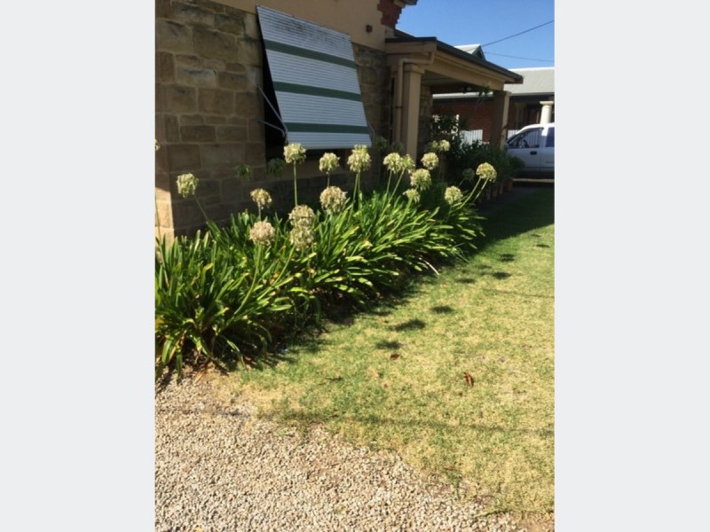 5 Headdey Court, Woodville South SA 5011