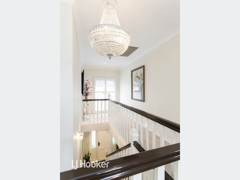 53A White Avenue, Lockleys SA 5032