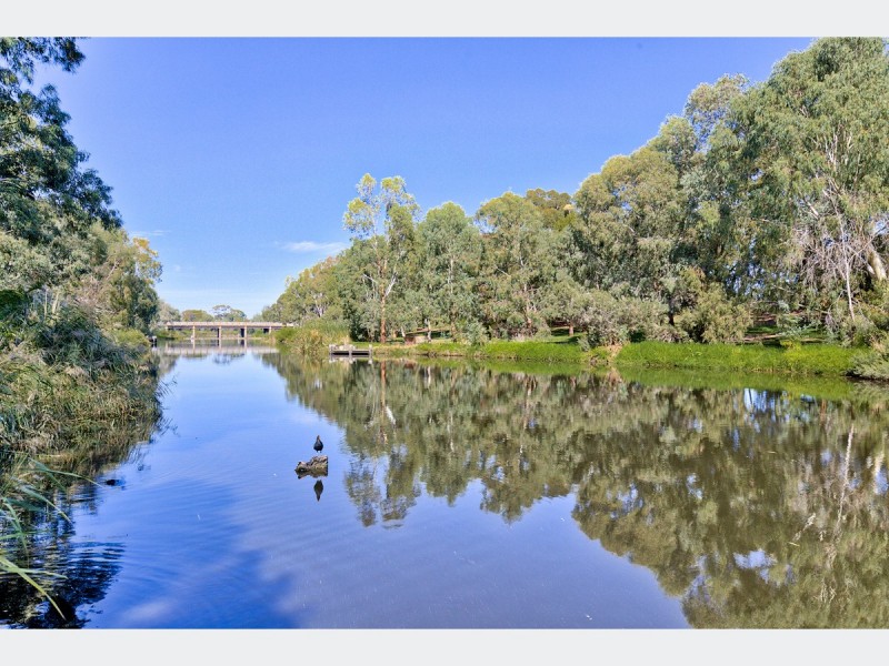 13 Carlo Street, Kidman Park SA 5025