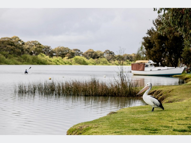 59 Parkview Drive, Murray Bridge SA 5253