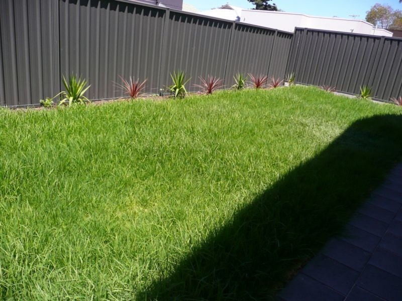 49B Bagot Avenue, Mile End SA 5031