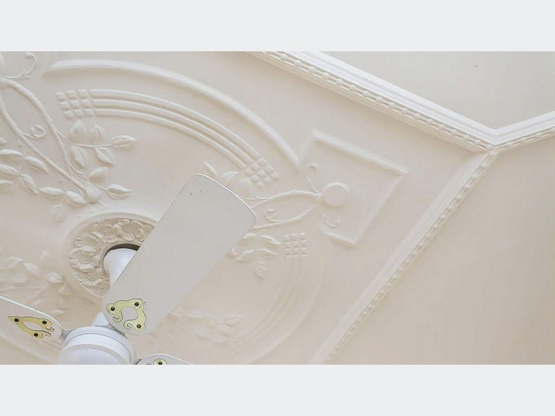 38 Cochrane Street, Prospect SA 5082