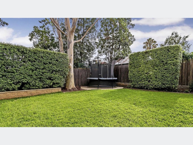 38 Cochrane Street, Prospect SA 5082