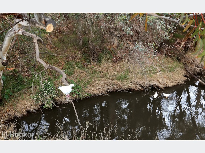 6 Hawthorne Street, Lockleys SA 5032