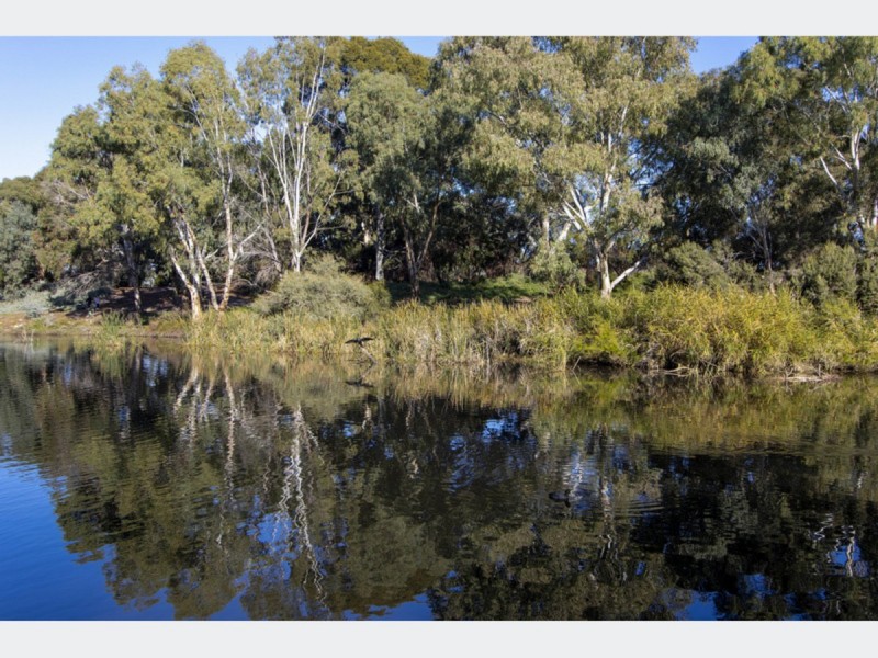 6 Hawthorne Street, Lockleys SA 5032