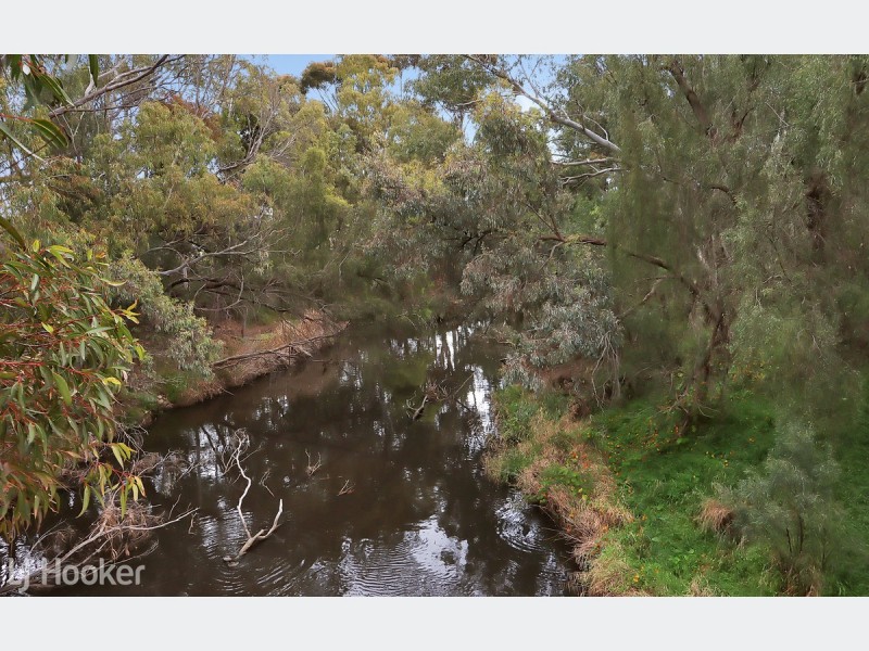 6 Hawthorne Street, Lockleys SA 5032