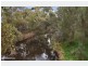 6 Hawthorne Street, Lockleys SA 5032