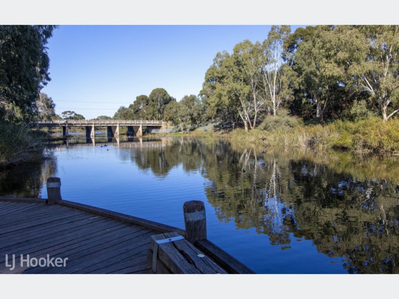 37 Airdrie Avenue, Seaton SA 5023