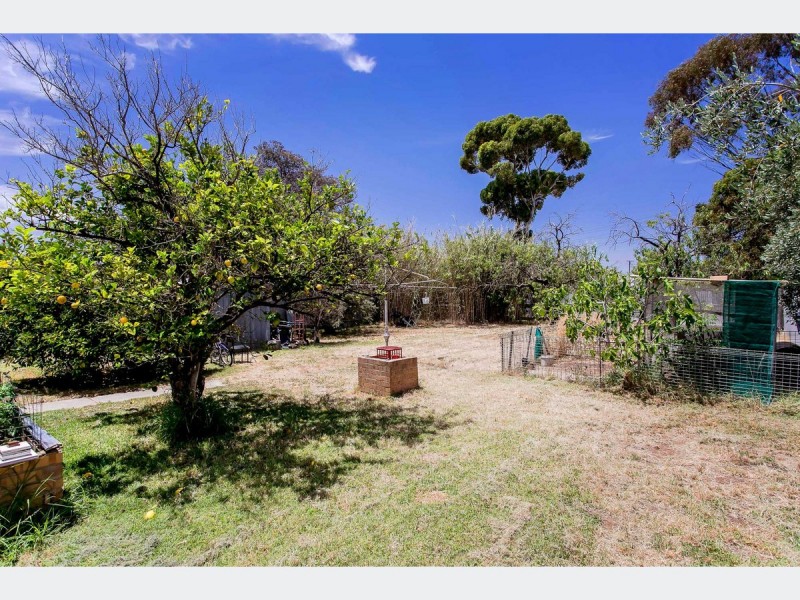 7 Scott Avenue, Flinders Park SA 5025
