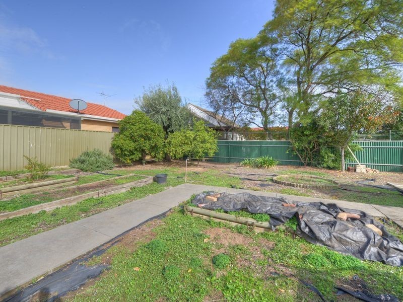8 Packard Street, North Plympton SA 5037