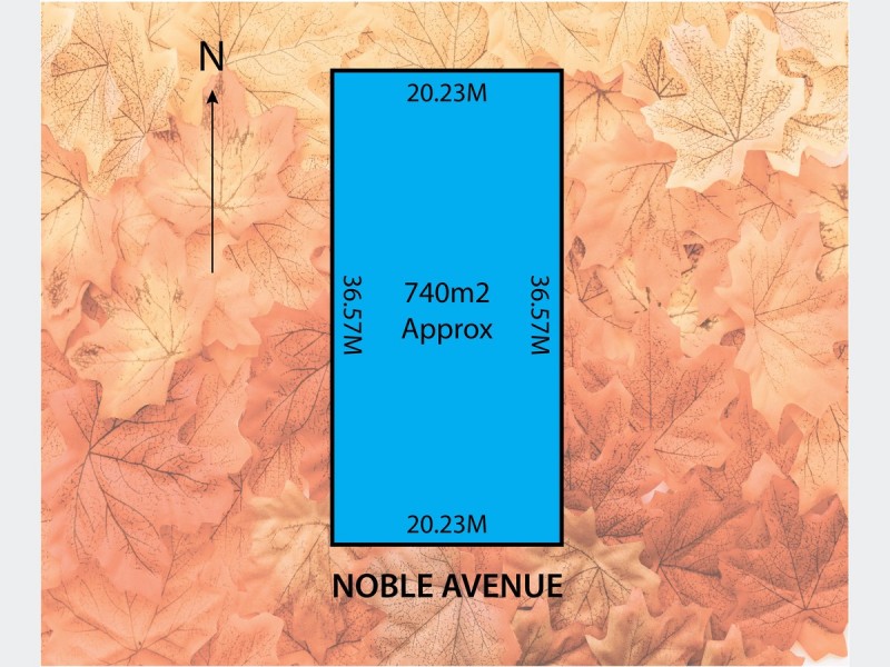 10 Noble Avenue, Lockleys SA 5032