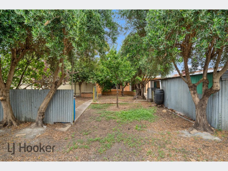 11 Pierson Street, Lockleys SA 5032