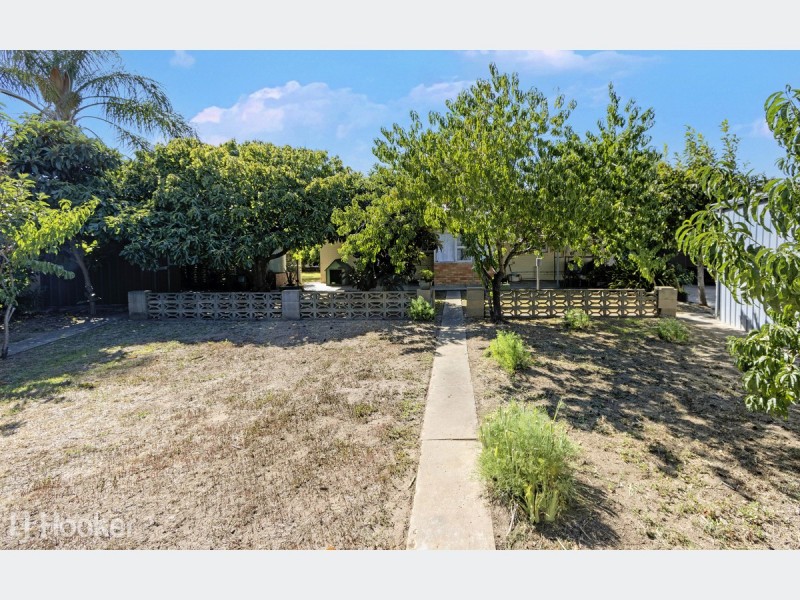 27 Douglas Street, Lockleys SA 5032