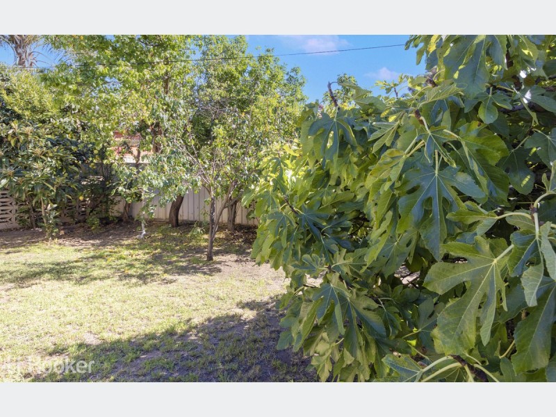 27 Douglas Street, Lockleys SA 5032