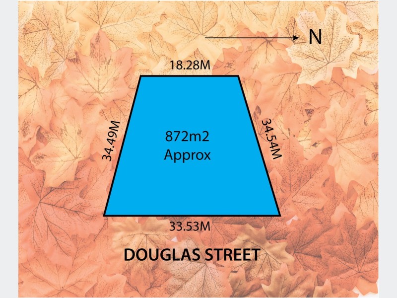 27 Douglas Street, Lockleys SA 5032