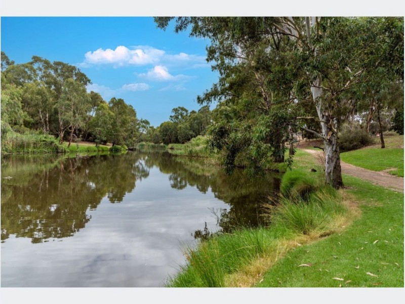27 Douglas Street, Lockleys SA 5032
