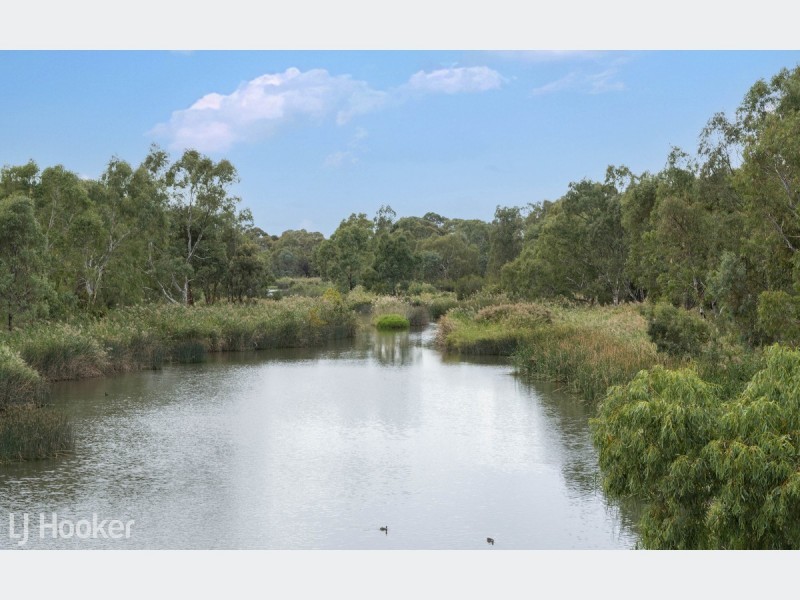 49 Rutland Avenue, Lockleys SA 5032