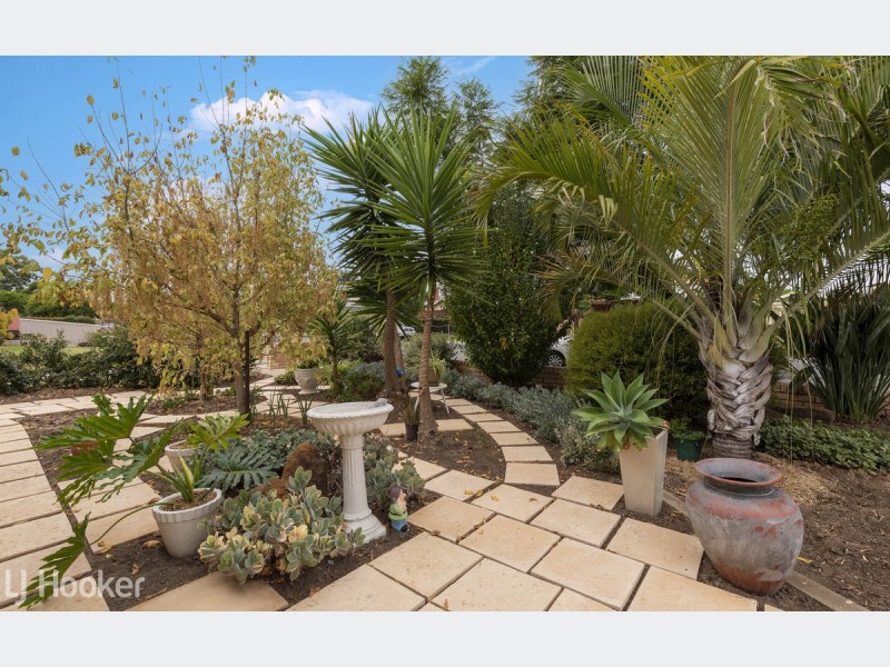 1/23-25 Arnold Street, Underdale SA 5032