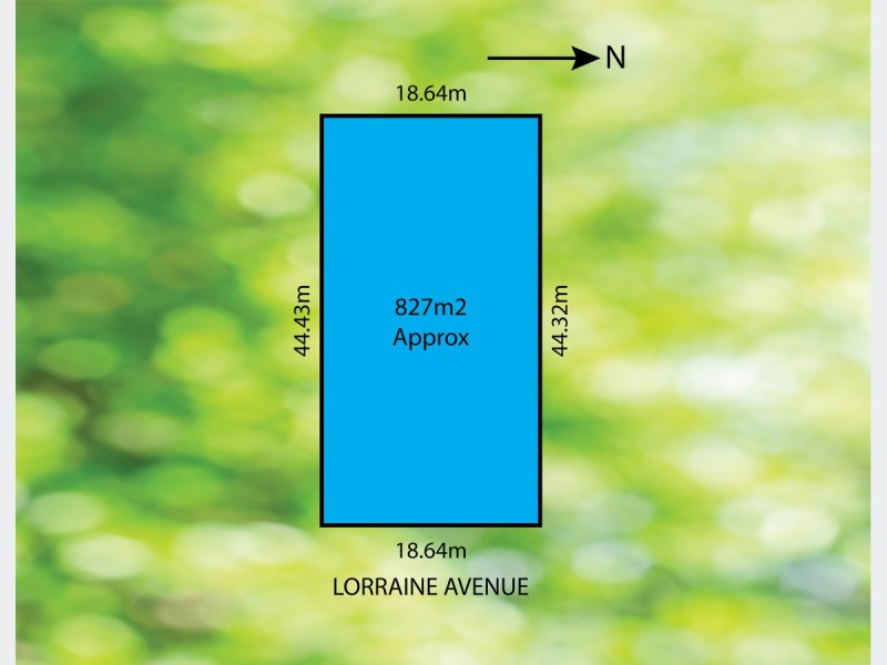 20 Lorraine Avenue, Lockleys SA 5032