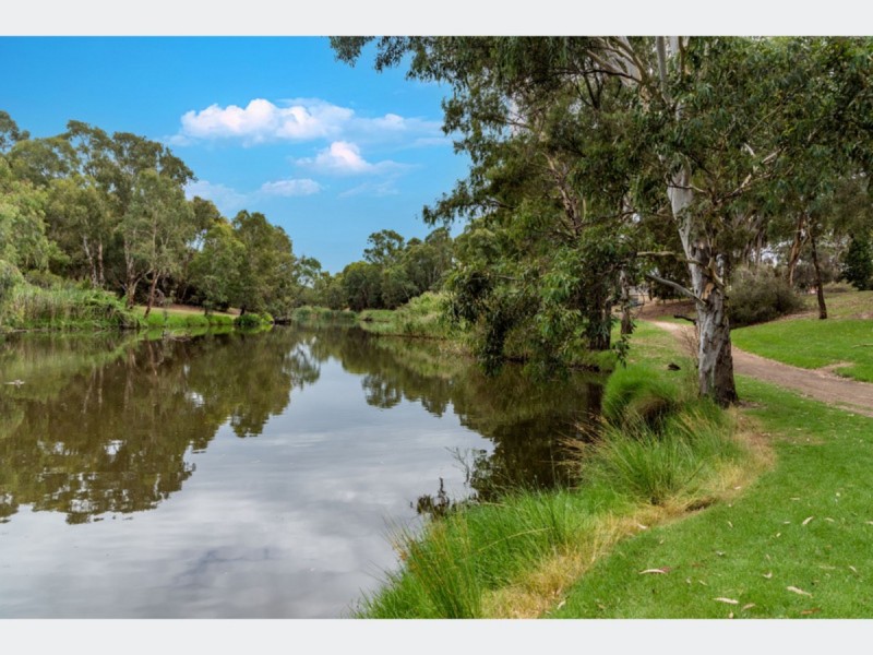 20 Lorraine Avenue, Lockleys SA 5032