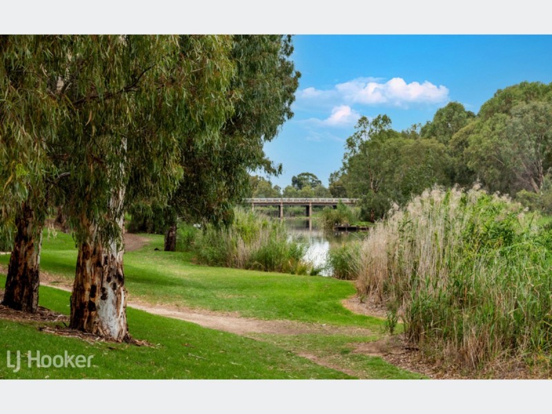 20 Lorraine Avenue, Lockleys SA 5032