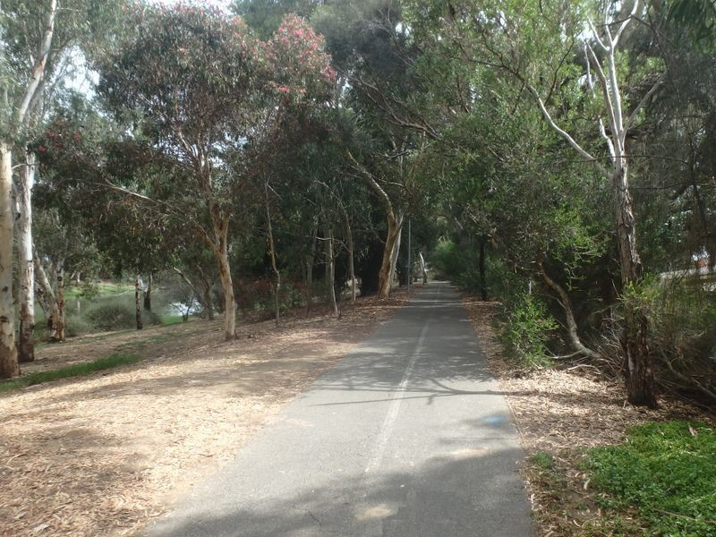 58 Collingwood Avenue, Flinders Park SA 5025