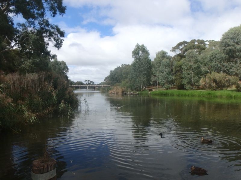 58 Collingwood Avenue, Flinders Park SA 5025