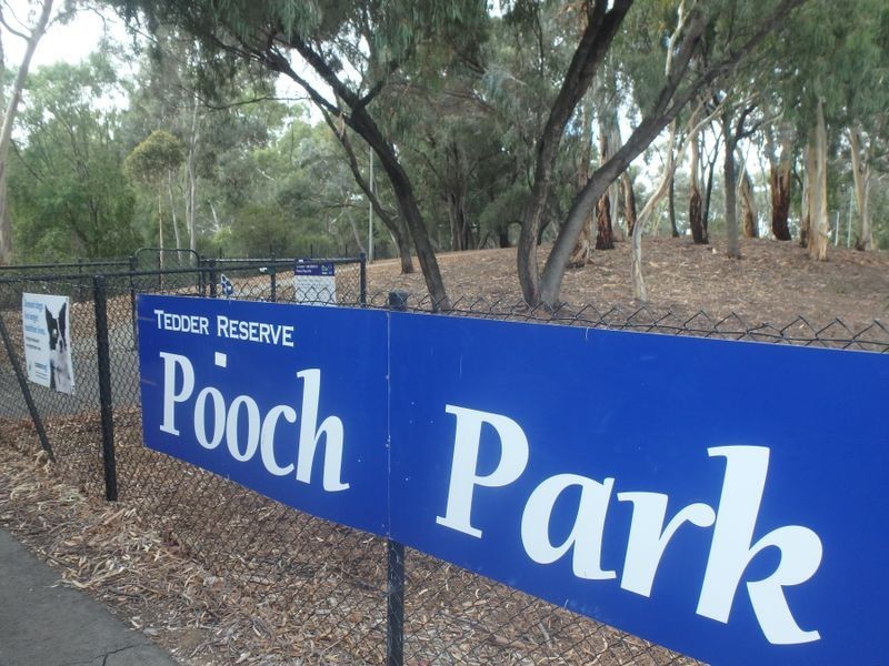 58 Collingwood Avenue, Flinders Park SA 5025