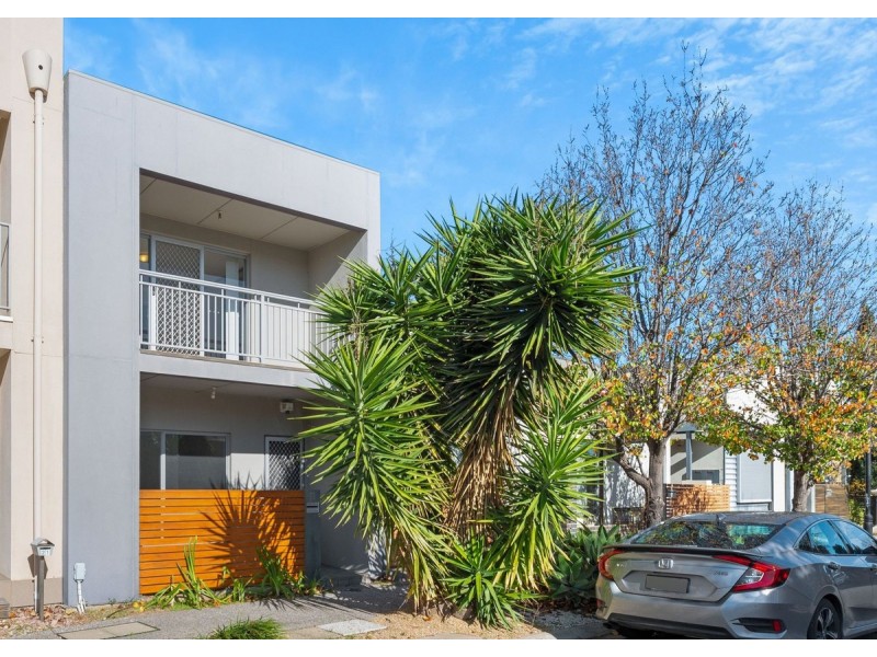 19 Harvey Circuit, Mawson Lakes SA 5095