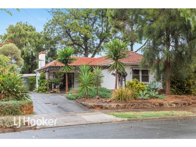 39 Douglas Street, Lockleys SA 5032