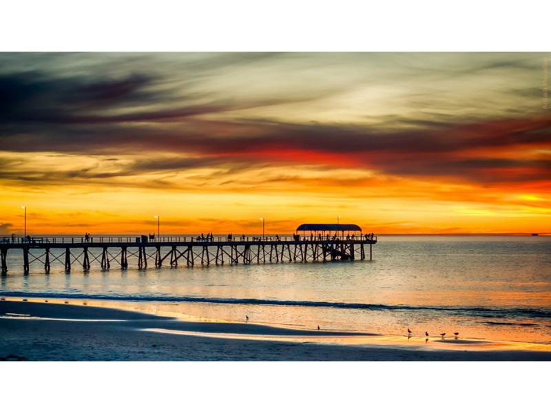 1/31 Fergusson Avenue, Kidman Park SA 5025