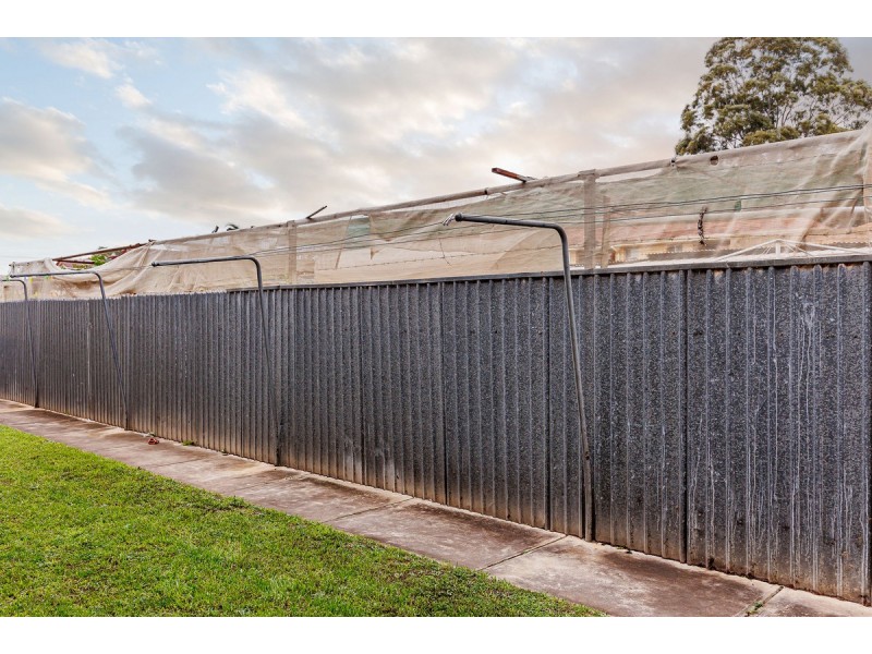 3/12 Richard Street, Mansfield Park SA 5012