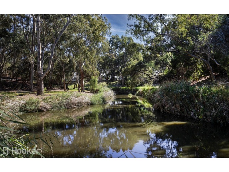 20 White Avenue, Lockleys SA 5032