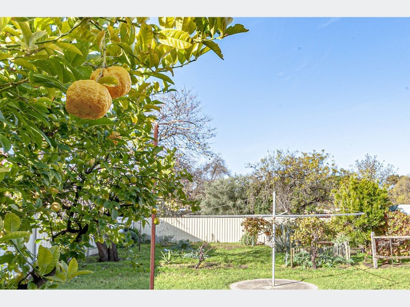 5 McCrea Street, Prospect SA 5082