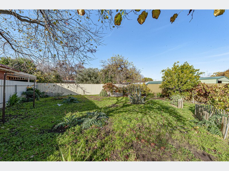 5 McCrea Street, Prospect SA 5082