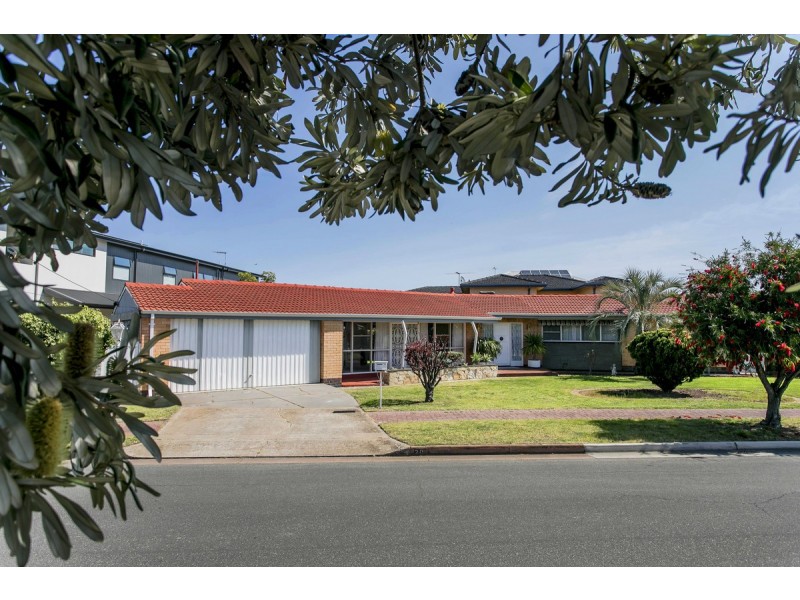 20 Ozone Avenue, Semaphore Park SA 5019