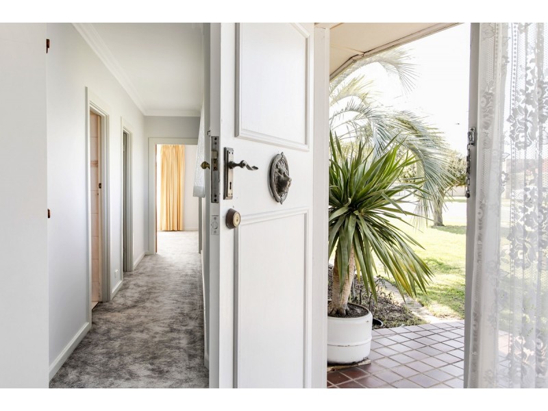 20 Ozone Avenue, Semaphore Park SA 5019