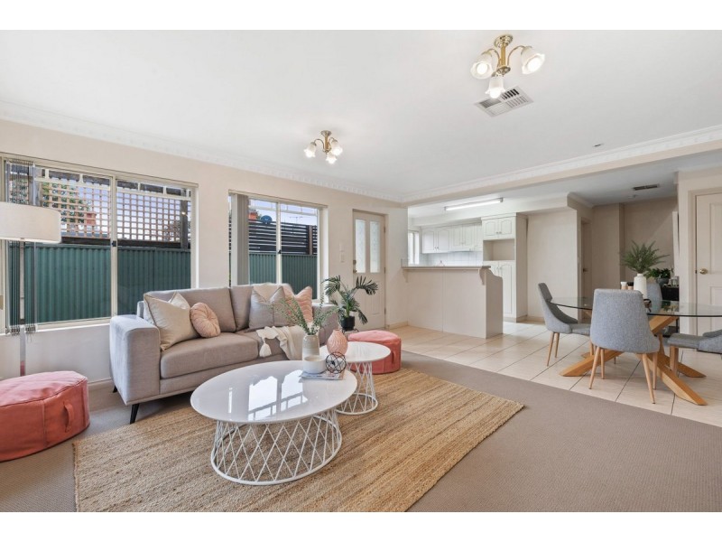 51 Gray Street, Norwood SA 5067