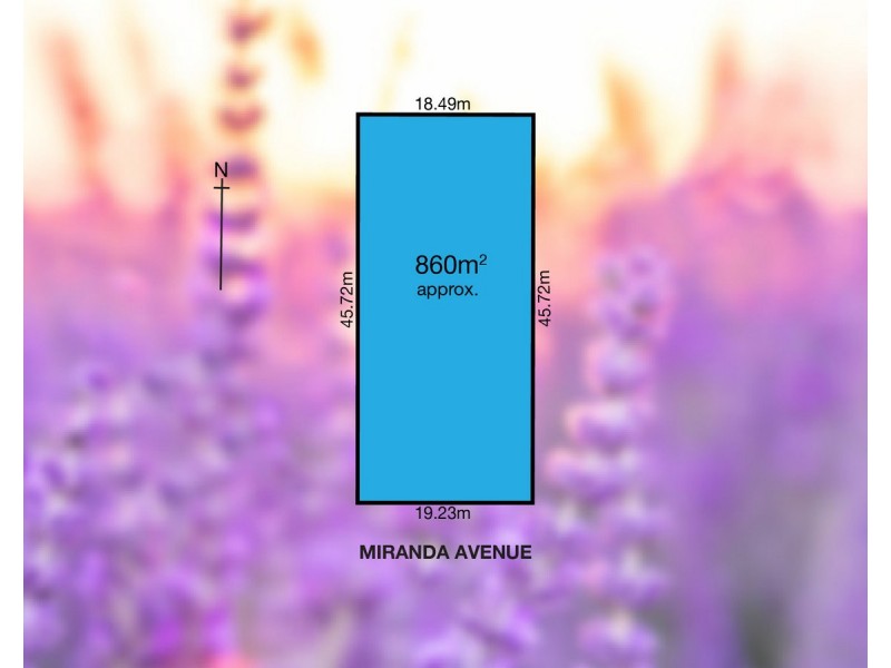 6 Miranda Avenue, Lockleys SA 5032