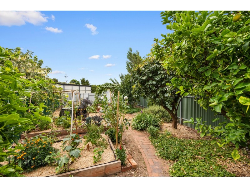 10 Argyle Street, Prospect SA 5082