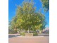 16 Caroline Drive, Allenby Gardens SA 5009