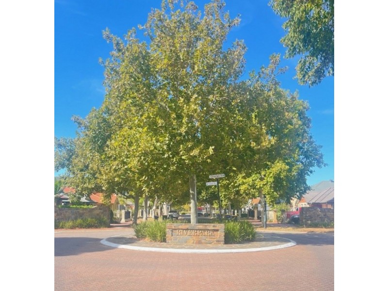 16 Caroline Drive, Allenby Gardens SA 5009